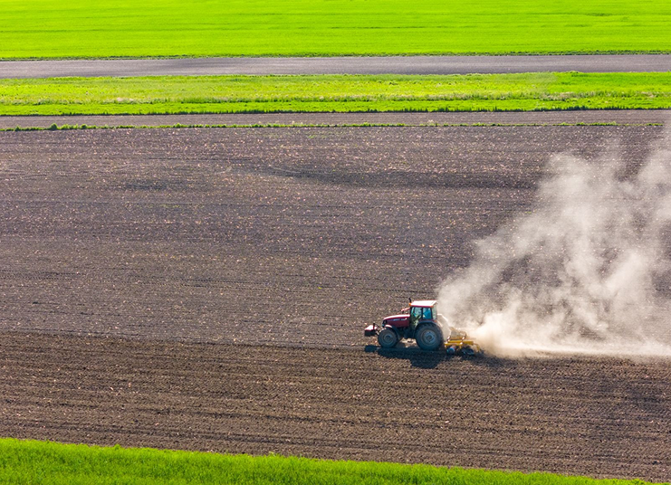 Projetos de Regeneração e Captura de CO2
